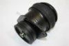 AUTOMEGA 101990262357A Engine Mounting